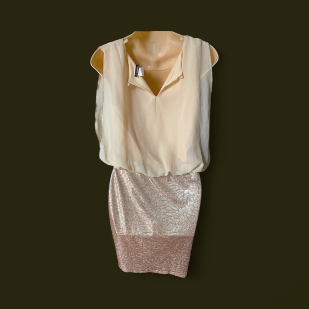 Elegant Cream and Gold Dress